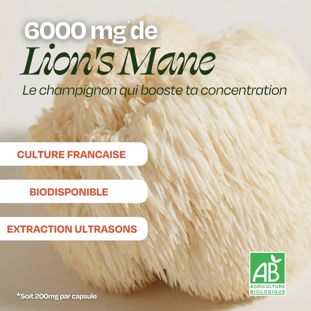 Café FOCUS Lion's Mane - Image 6