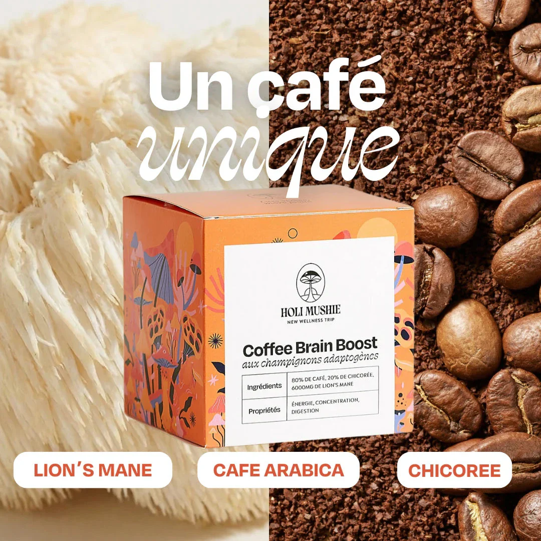 Café FOCUS Lion's Mane - Image 7