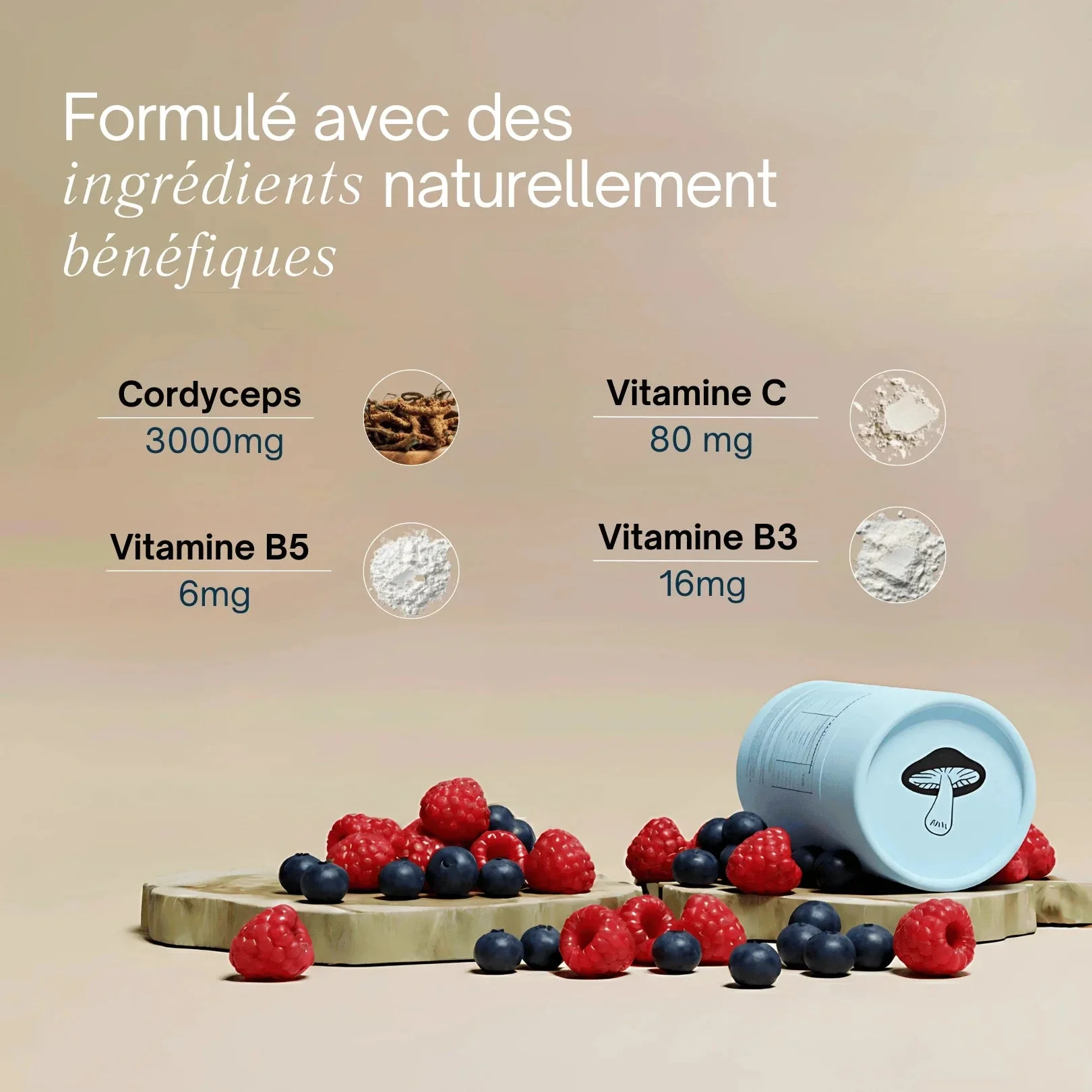 Gummies au Cordyceps - Énergie, force, endurance - Image 3