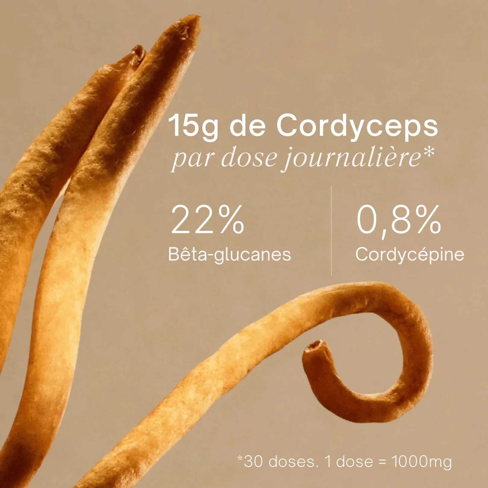 Gummies au Cordyceps - Énergie, force, endurance - Image 4