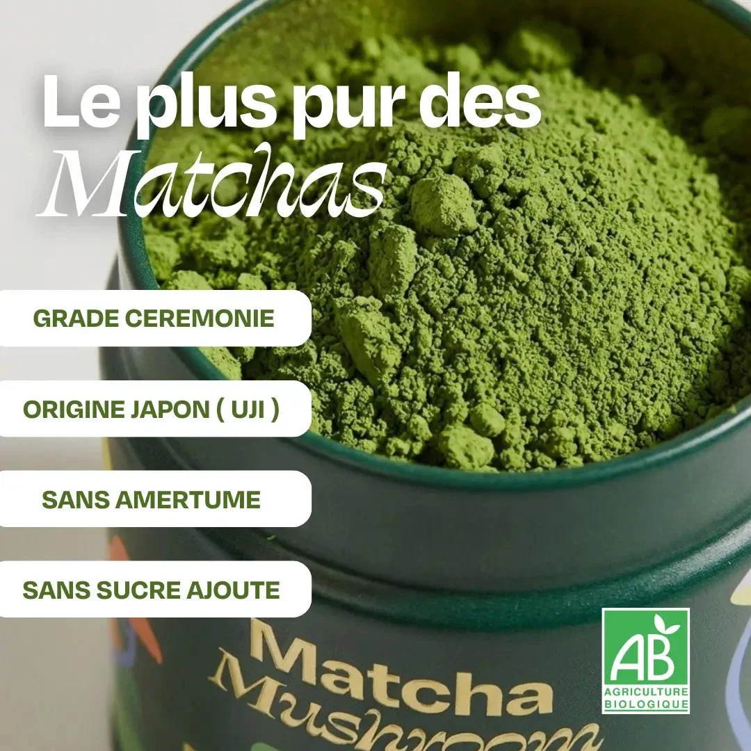 Matcha FOCUS aux champignons - Image 3