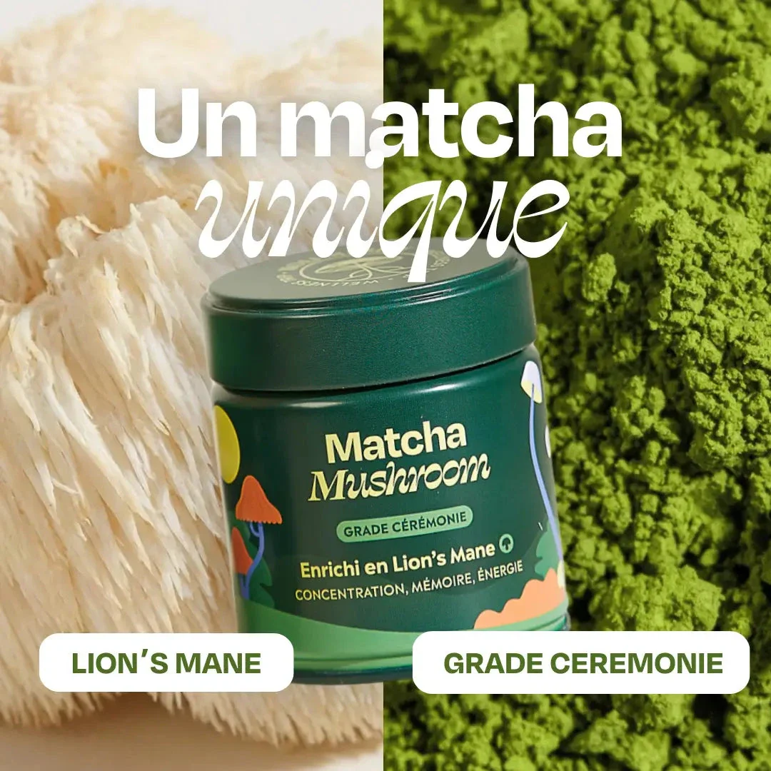 Matcha FOCUS aux champignons - Image 5